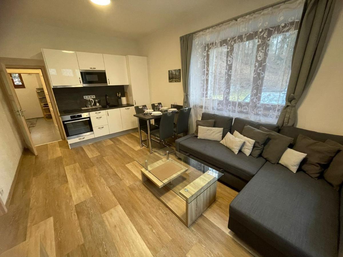 Rocky Apartment Rokytnice nad Jizerou Ngoại thất bức ảnh